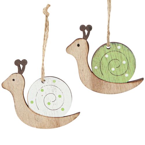 Article Décoration décorative en bois d&#39;escargot à suspendre vert naturel 6,5 cm 12 pièces
