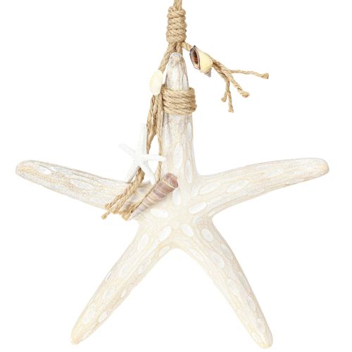 Etoile de mer décorative à suspendre Décoration maritime Bois Blanc 30cm