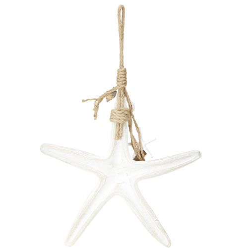 Article Etoile de mer décorative à suspendre Décoration maritime Bois Blanc 30cm