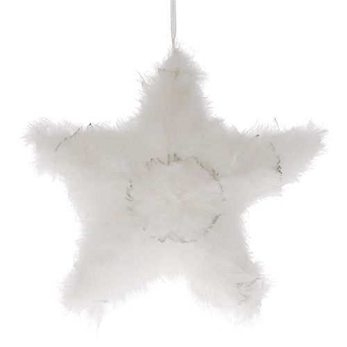 Déco étoile en plumes blanches 30cm