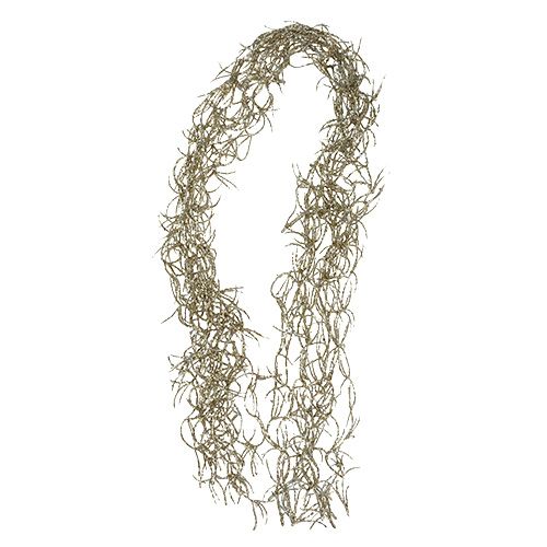 Floristik24 Fil de décoration Tillandsia Gold 100cm 10pcs