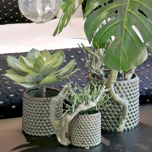 Floristik24 Plante succulente décorative verte artificielle Ø30cm H27cm
