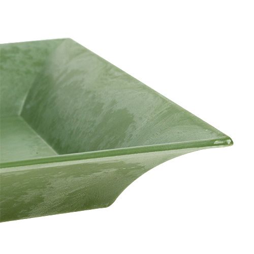 Floristik24 Plateau décoratif vert 28cm x 12cm
