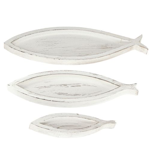 Floristik24 Plateau Décoratif Bois Poisson Blanc Naturel L30/40/50cm Lot de 3