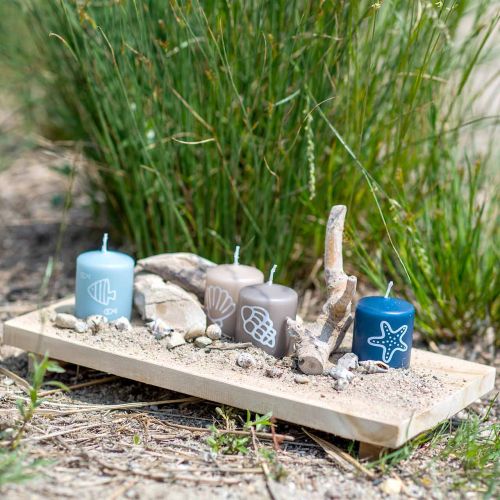 Floristik24 Plateau déco teck nature 38×18cm