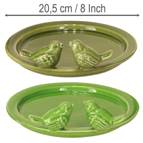 Article Assiette décorative bain d&#39;oiseaux décoration de table céramique verte Ø20,5cm 2pcs