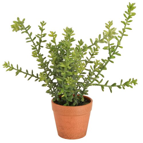 Article Thym décoratif en pot Herbes artificielles Décoration de cuisine 25cm