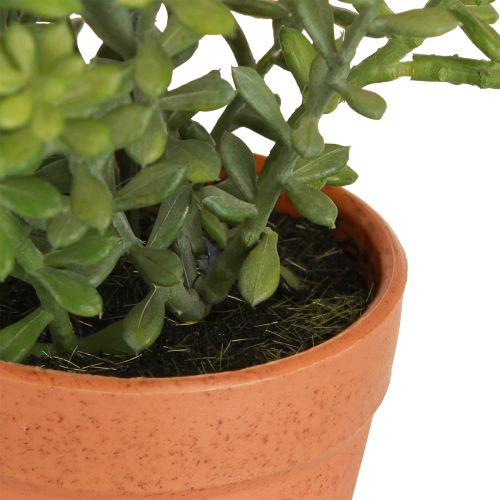 Article Thym décoratif en pot Herbes artificielles Décoration de cuisine 25cm