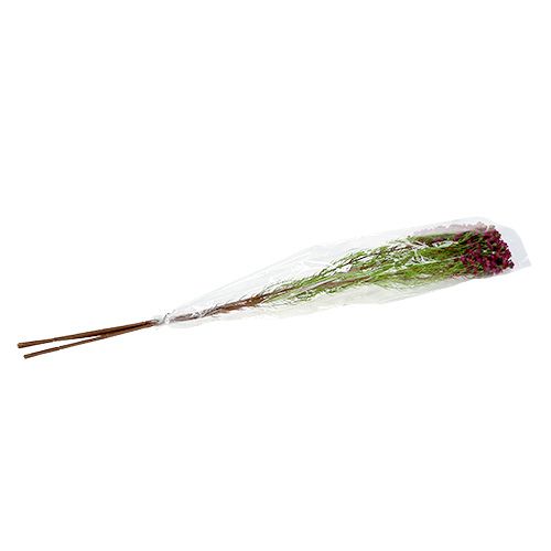 Floristik24 Branche déco avec fleurs Erika 80cm 3pcs