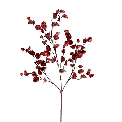 Floristik24 Branche déco rouge foncé 74cm 6pcs