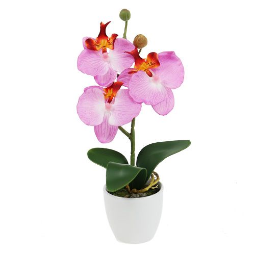 Floristik24 Orchidée décorative en pot rose H 29 cm