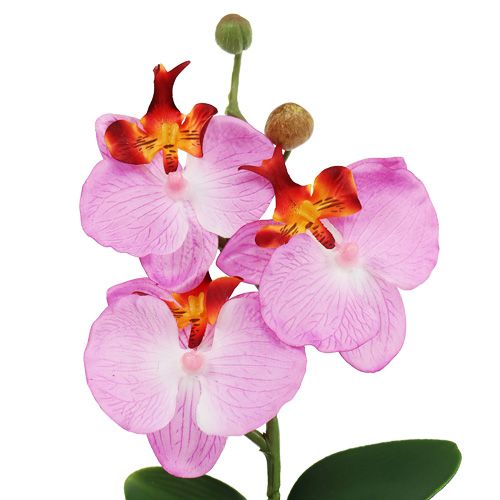 Floristik24 Orchidée décorative en pot rose H 29 cm