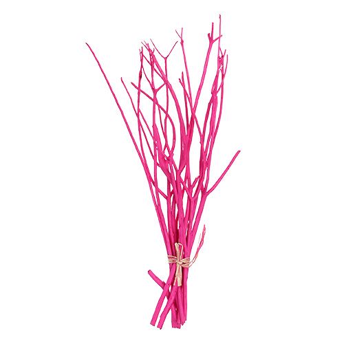 Floristik24 Branches déco Mitsumata 45-60cm rose 12p