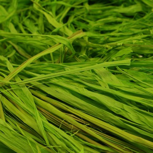 Article Raphia décoratif pour travaux manuels raphia naturel raphia vert pomme 200g