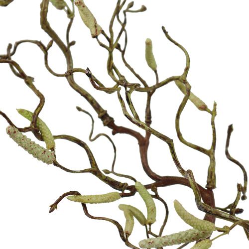 Floristik24 Branche de bouleau décorative 68 cm
