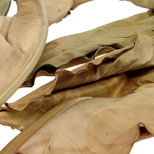 Floristik24 Feuilles décoratives nature 120cm 20 pcs