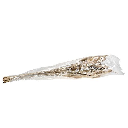 Floristik24 Feuilles décoratives nature 120cm 20 pcs