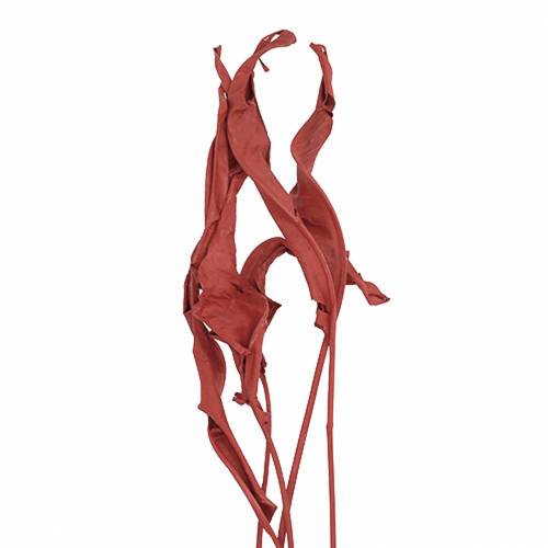 Feuilles déco Strelitzia rouge 85-105cm 10p