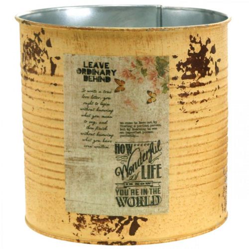 Article Boîte décorative cache-pot abricot métal décoration estivale Ø15,5cm H15cm