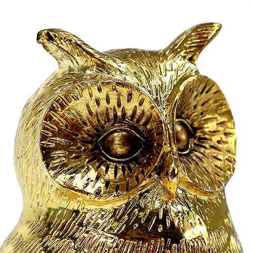 Floristik24 Déco hibou doré, brillant 12cm 4pcs
