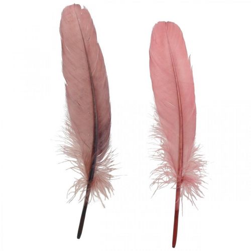Article Plumes décoratives pour travaux manuels, plumes d&#39;oiseaux véritables vieux rose, 20g