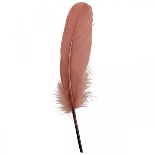 Article Plumes décoratives pour travaux manuels, plumes d&#39;oiseaux véritables vieux rose, 20g