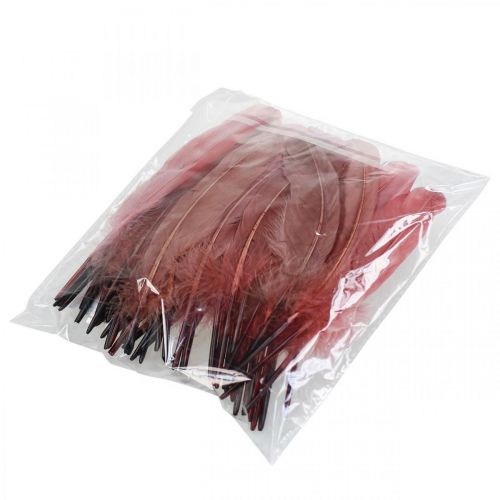 Article Plumes décoratives pour travaux manuels, plumes d&#39;oiseaux véritables vieux rose, 20g