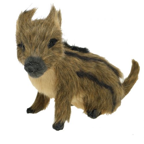 Floristik24 Figurine Décoration Frischling L15cm