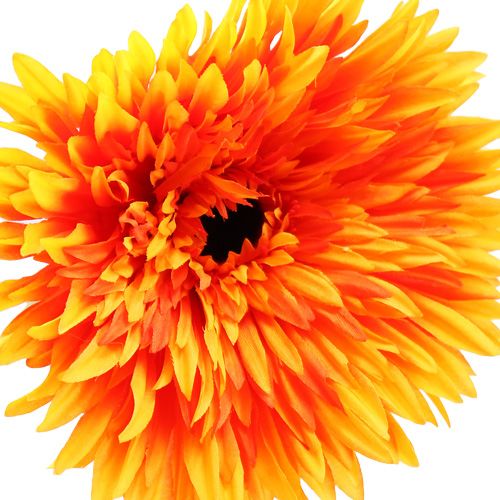 Floristik24 Gerbera décoratif orange Ø 17 cm L. 88 cm