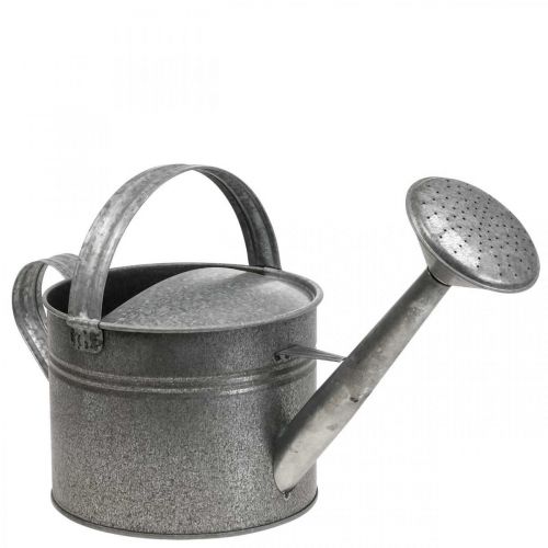 Article Arrosoir décoratif en zinc pour jardinière H27cm