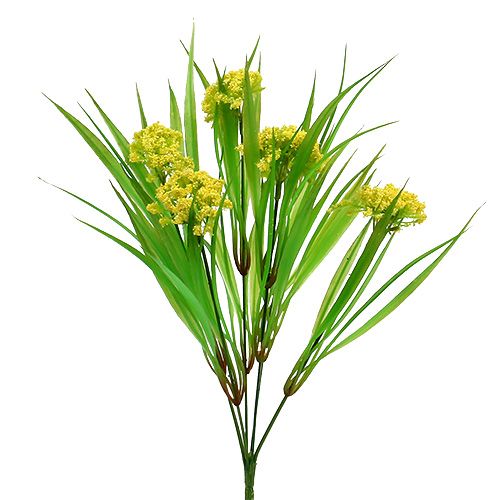 Floristik24 Herbe déco avec fleurs jaune, vert H32ccm