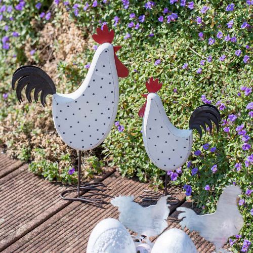Floristik24 Coq déco bois pointillé blanc figurine décorative Pâques H30cm