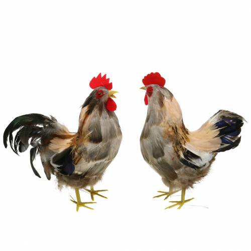 Floristik24 Décoration coq et poule de Pâques avec plumes H26cm naturel lot de 2