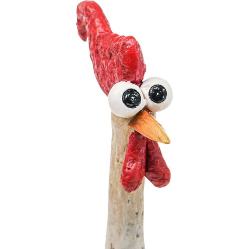 Floristik24 Décoration Poulets Décoration Figurine Décoration Pâques Poulet Drôle H26cm