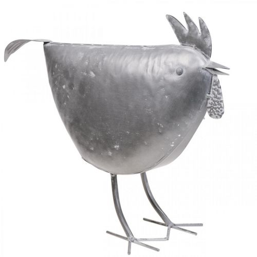 Floristik24 Poule déco métal décoration métal oiseau zinc 51cm×16cm×36cm