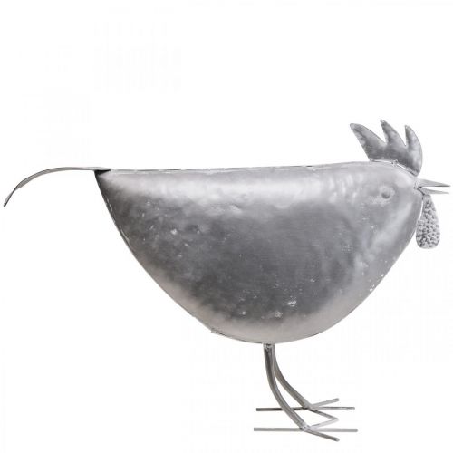 Floristik24 Poule déco métal décoration métal oiseau zinc 51cm×16cm×36cm