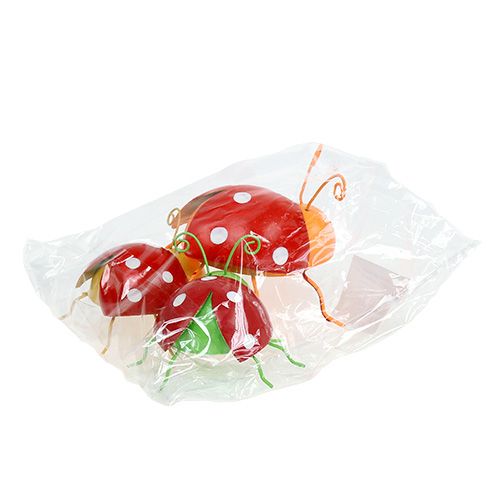 Floristik24 Déco scarabée couleurs assorties 8cm 3pcs