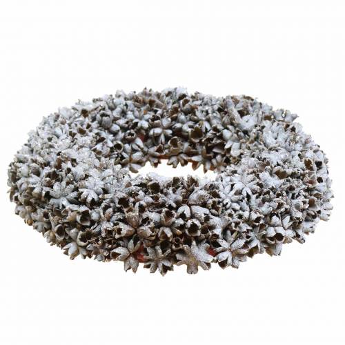 Floristik24 Couronne décorative anis étoilé avec paillettes lavé blanc Ø20cm