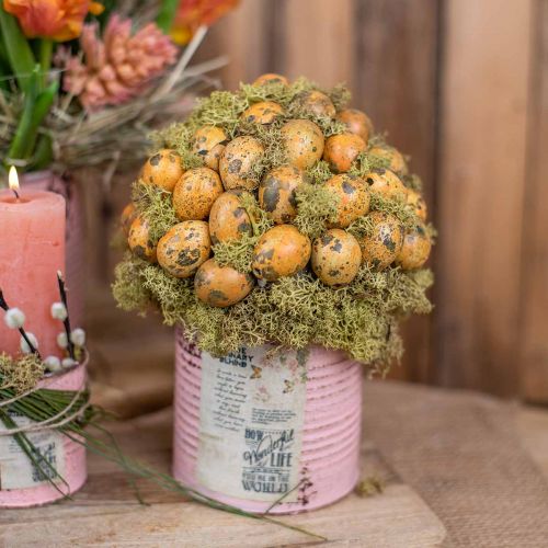 Article Mousse de kiwi vert mousse décorative pour l'artisanat, séchée et teinte 500g