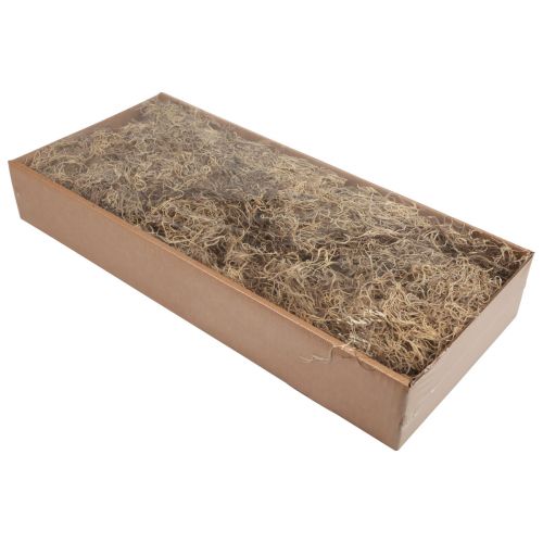 Article Mousse décorative mousse de forêt séchée brun naturel décoration naturelle 300g