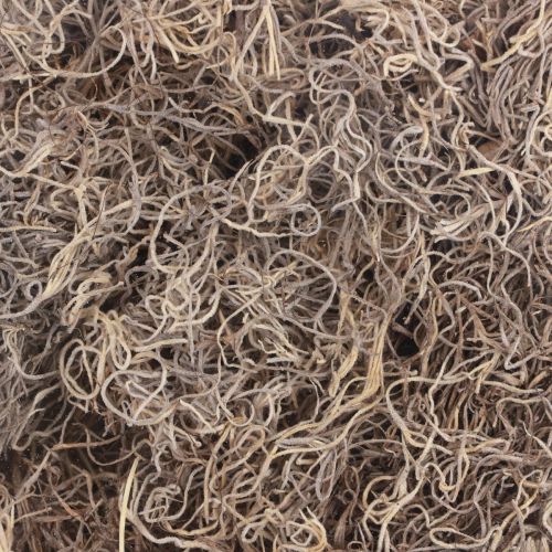 Article Mousse décorative mousse de forêt séchée brun naturel décoration naturelle 300g