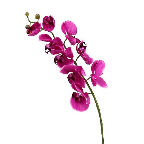 Floristik24 Orchidée décorative fuchsia L 77 cm