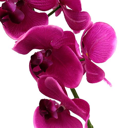 Article Orchidée décorative fuchsia L 77 cm