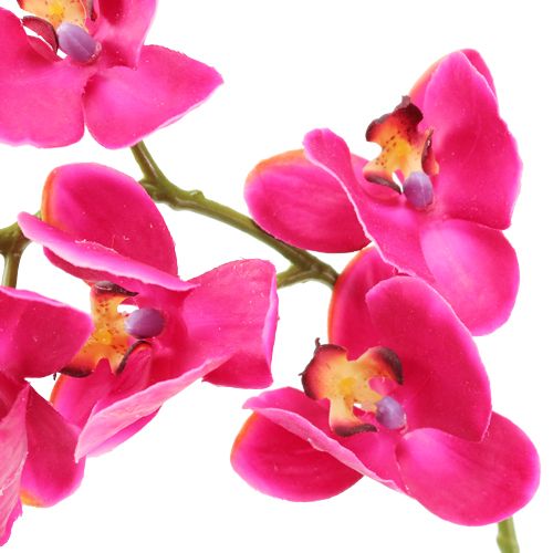 Article Orchidée décorative fuchsia 76 cm