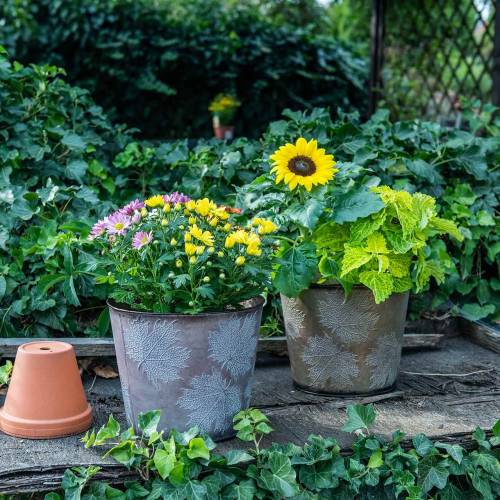 Floristik24 Cache-pot décoratif à feuilles zinc gris métallisé, orange, marron Ø26cmH22cm 3pcs