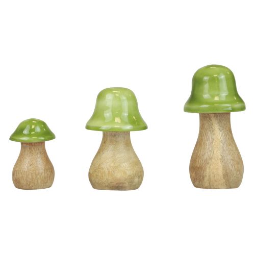 Floristik24 Champignons déco bois champignons en bois vert clair brillant H6/8/10cm lot de 3