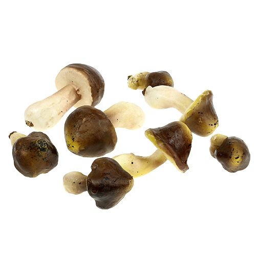 Floristik24 Champignons décoratifs dans le filet 5-8cm assortis. marron 8 pièces