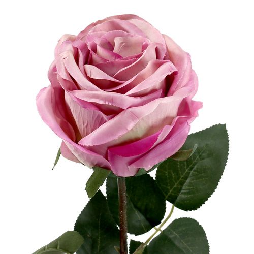 Article Rose décorative touffue vieux rose Ø 10 cm L 65 cm 3 ex