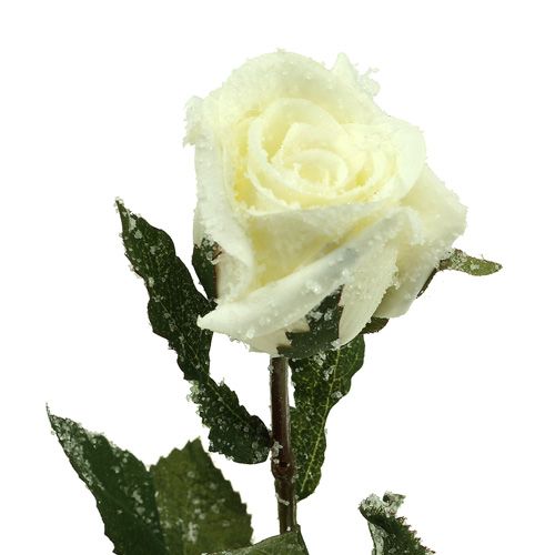 Article Rose déco blanche enneigée Ø6cm 6pcs