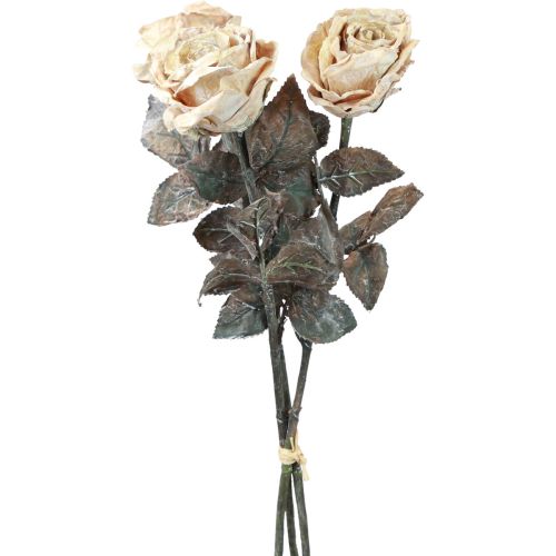 Floristik24 Roses décoratives Roses artificielles blanc crème fleurs en soie aspect antique L65cm paquet de 3